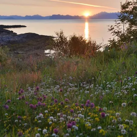 Lofoten Mountains Midnight Sun And Nothern Lights In * Steigen