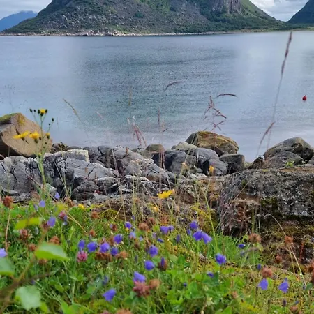 Lofoten Mountains Midnight Sun And Nothern Lights In Steigen