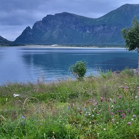 Lofoten Mountains Midnight Sun And Nothern Lights In *