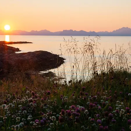 펜션 Lofoten Mountains Midnight Sun And Nothern Lights In