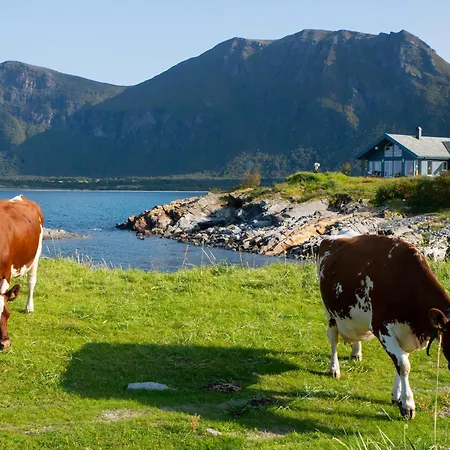 Engeløya Steigen. Velkommen Til Det Gode Ferieliv. Feriehus