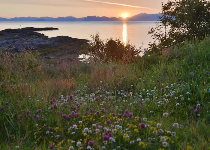 Lofoten Mountains Midnight Sun And Nothern Lights In * Steigen