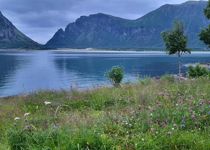 Lofoten Mountains Midnight Sun And Nothern Lights In *