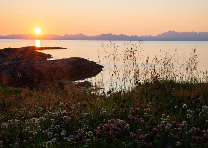 Prázdninový dům Lofoten Mountains Midnight Sun And Nothern Lights In